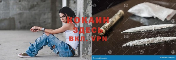прущие крисы Вяземский