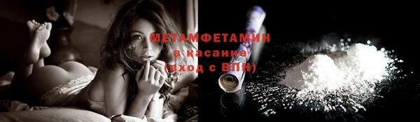 прущие крисы Вяземский