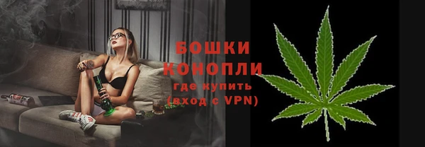 прущие крисы Вяземский
