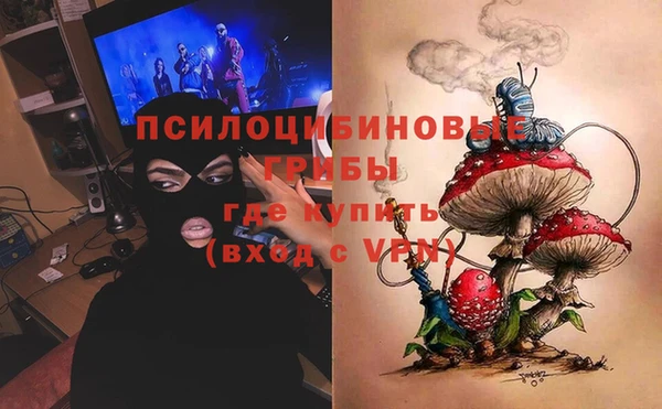 прущие крисы Вяземский