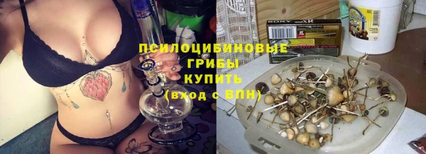 каннабис Майский