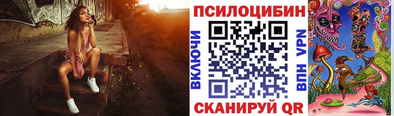 Галлюциногенные грибы Psilocybe Джанкой