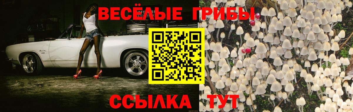 Галлюциногенные грибы Magic Shrooms Джанкой